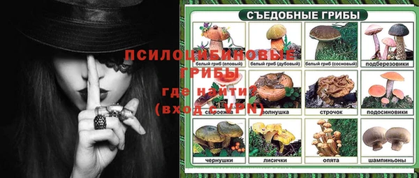 ALPHA PVP Горняк