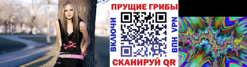 где купить наркоту  Чухлома  Галлюциногенные грибы мицелий 